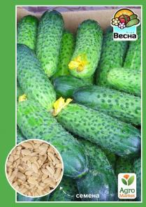 Огурец "Самоопыляющиеся F1" ТМ "Весна" 0.25г19 Pickles, Cucumber, Condiments, Pickle, Zucchini, Pickling