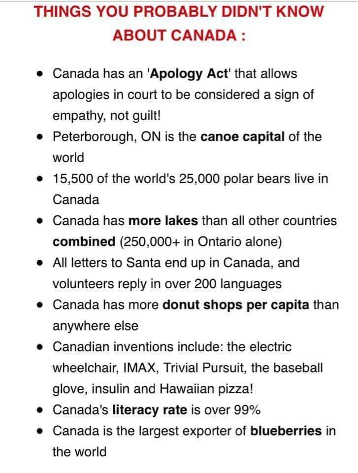 Happy Canada Day From the Chicago Files!! – The Chicago Files Canadian Quotes, Canadian Facts, Canadian Things, Canadian English, I Am Canadian, Canadian History, Canadian Culture, Canada Funny, Canada Eh