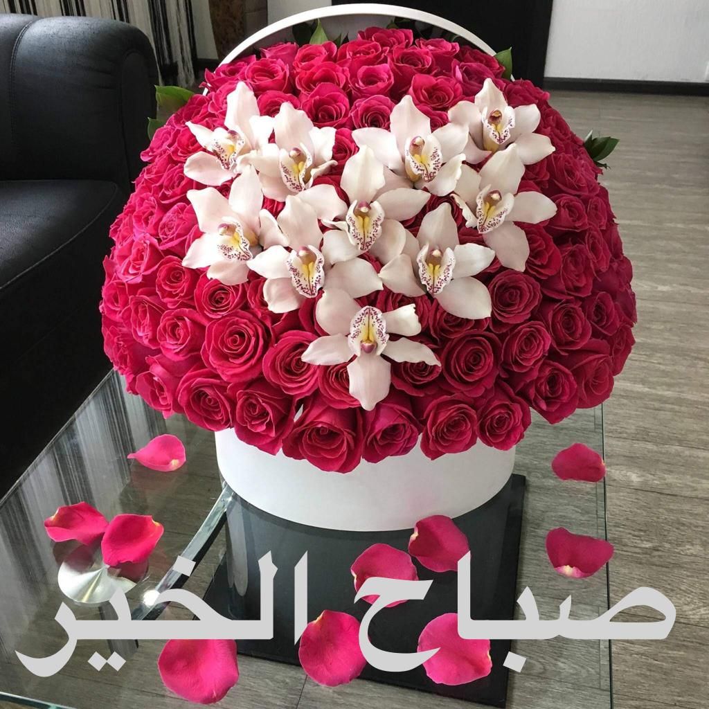 Pin By Yacine Aymen On Cerf Beautiful Morning Messages Morning Messages Good Morning Arabic