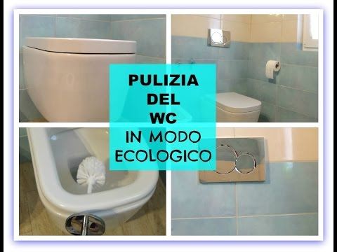 Pulizia Del Wc Sanitari Puliti In Modo Ecologico Pulizia Del Wc