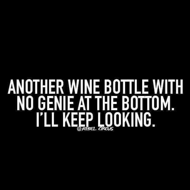 Pin By Kitty Kat On Happy Sayings Funny Quotes Wine Quotes