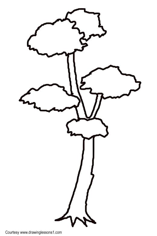 520x780 Easy Tree Drawings How To Draw A Tree Tutorial Banyan Tree 520x780 Easy Tree Drawings How To Draw A Tree Tutorial Banyan Tree