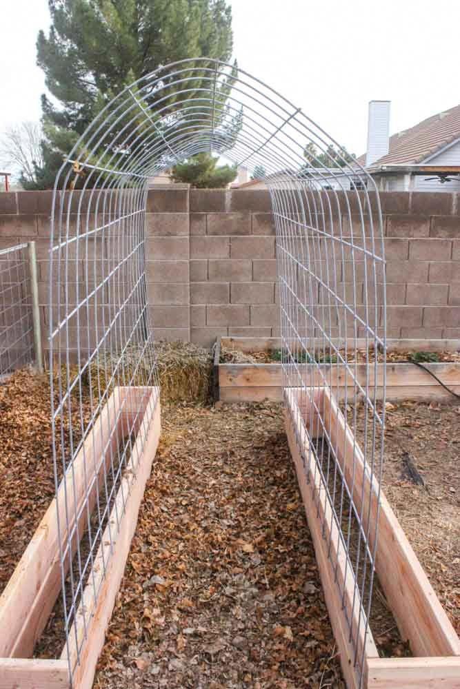 Gardening is an enjoyable and rewarding activity. As you gather more information, you are going to develop into a better gardener. You should examine relevant information and learn as much as you are able to. Begin by using the recommendations you find on the internet, and you are going to have the most beautiful garden you can get. #VegetableGardening Backyard Vegetable Gardens, Vegetable Garden Design, Backyard Garden, Garden Landscaping, Veggie Garden, Food Garden, Landscaping Ideas, Fruit Garden, Garden Arch