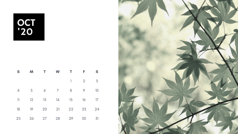 50 Free Printable October 2020 Calendars with Holidays Onedesblog 50 Free Printable October 2020 Calendars with Holidays Onedesblog