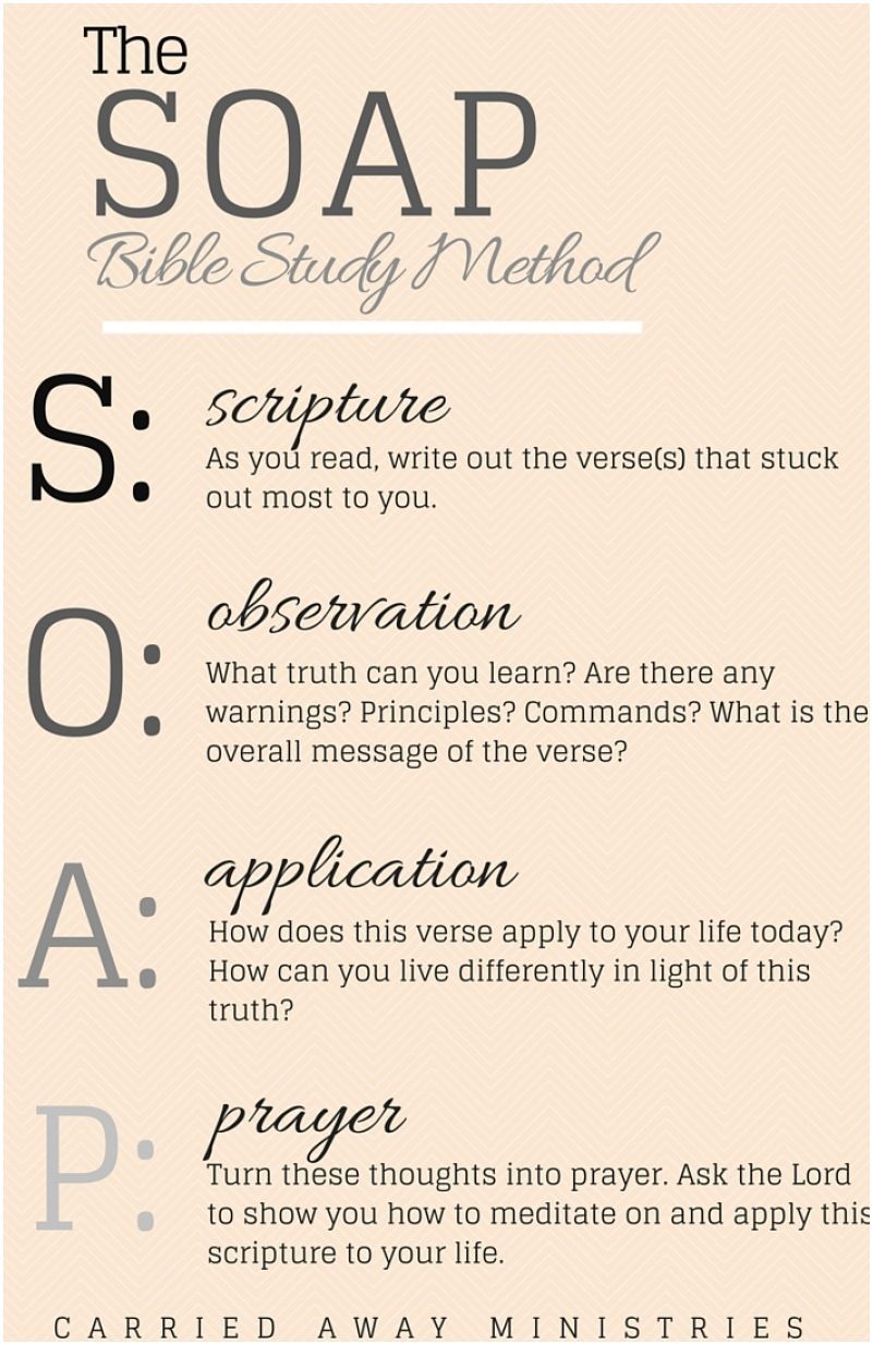 Week 2: How Do You Study The Bible? Week 2: How Do You Study The Bible?