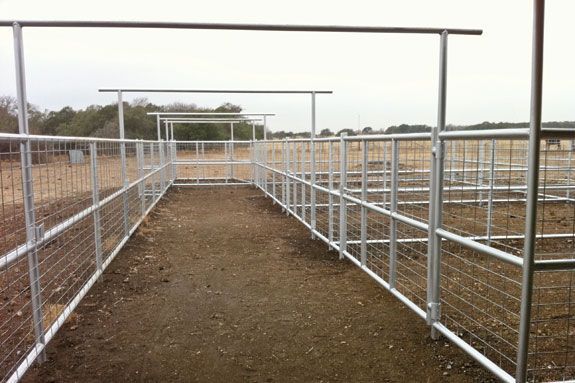 Design Corrals To Reduce Cattle Cattle Corrals Cattle Cattle Ranching solid-sweep-corral-system-for-35-head-raising-cattle-system-sweep