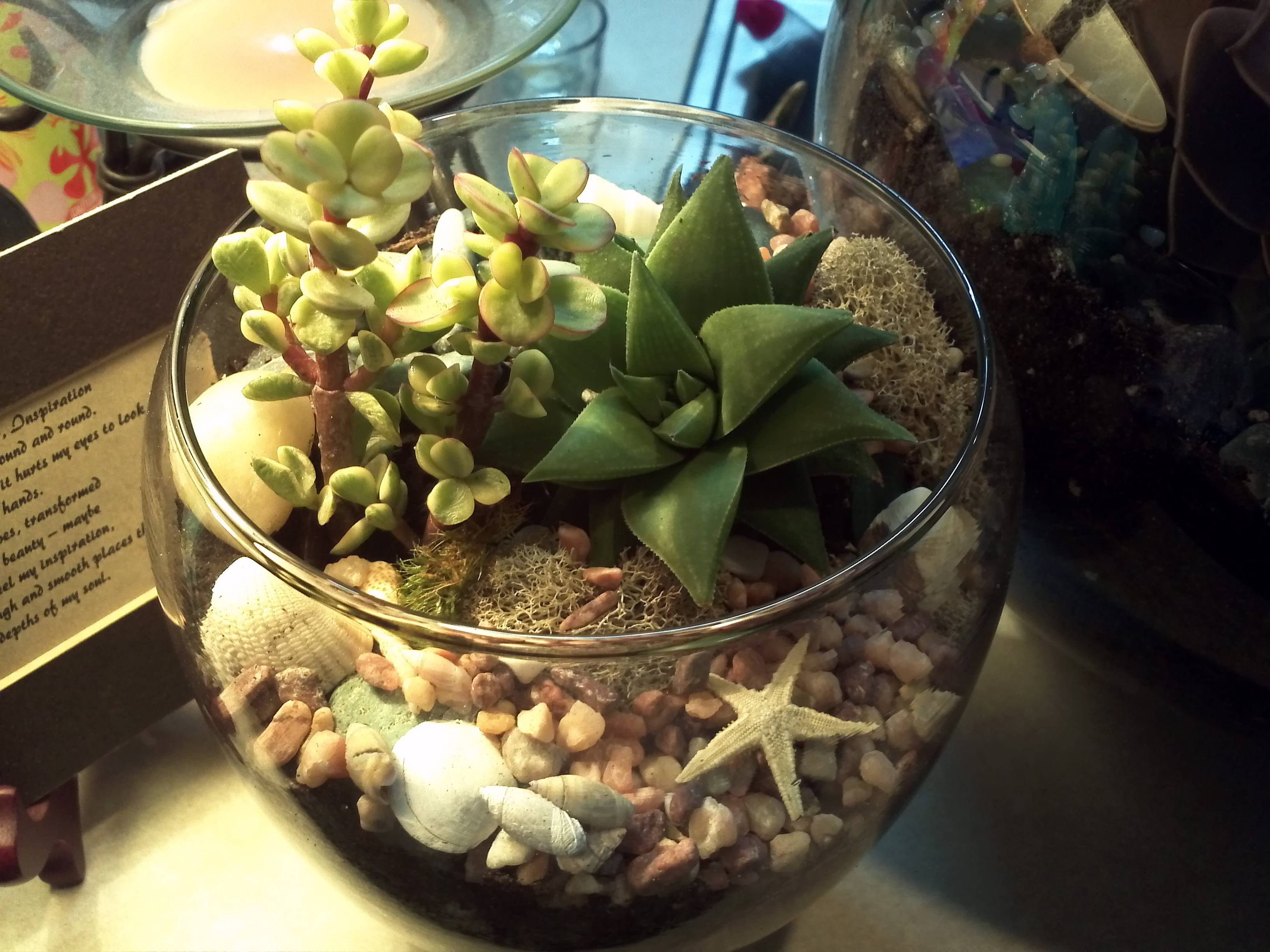 fish bowl ideas fish bowl ideas