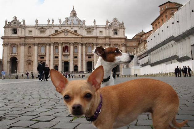 A good debate I am, Heavens and Free dogs