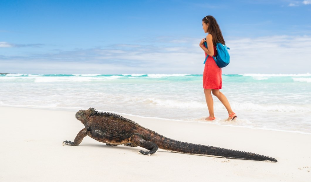 Pin On Tourism Industry News