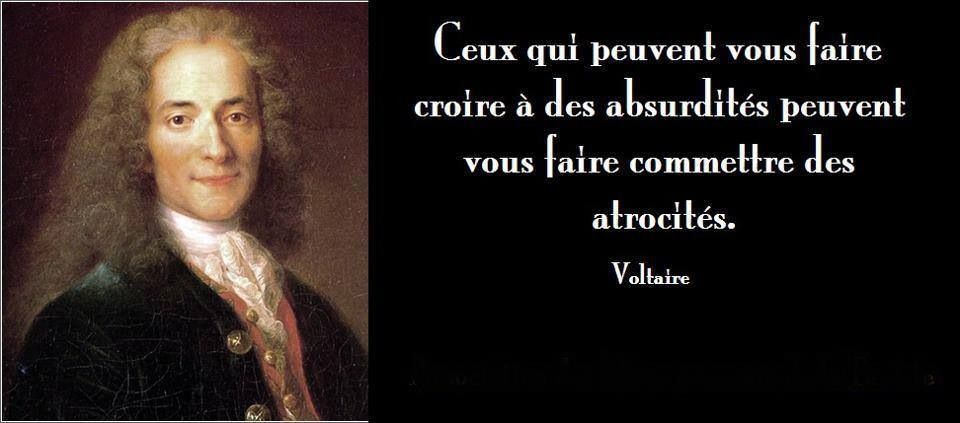 Dissertation sur des citations de voltaire