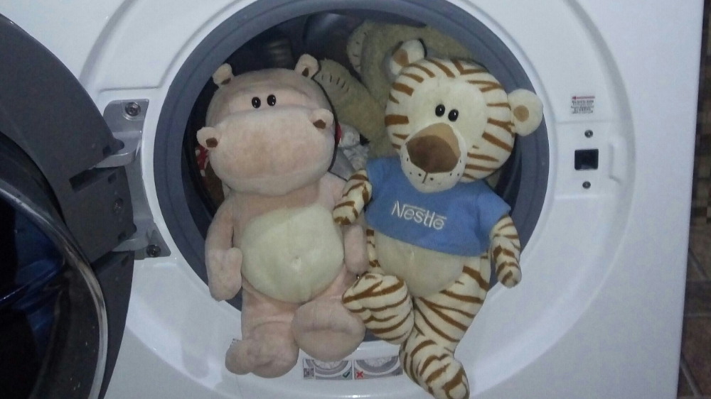 Como Lavar Urso De Pelúcia Como limpar os bichinhos de pelúcia | Bichinho de pelúcia, Urso de