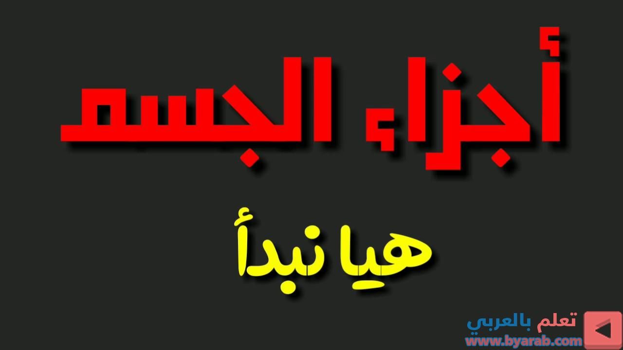 Pin On الحياة اليومية
