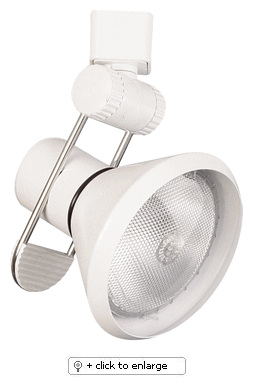 line voltage high tech par30 with cone use with single or two