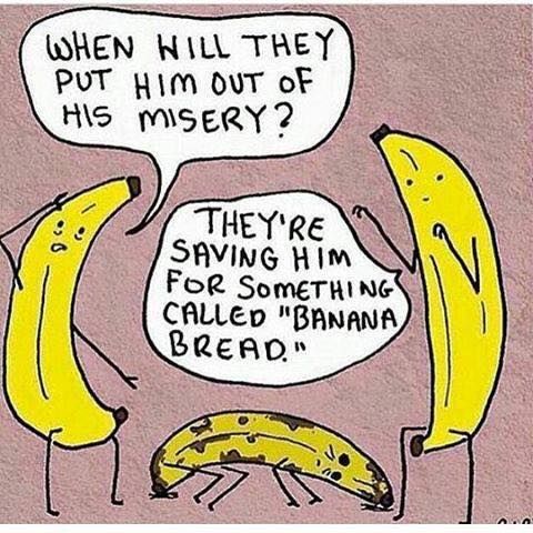 When You Re Absolutely Into Banana Bread Vegan Meme Vegan