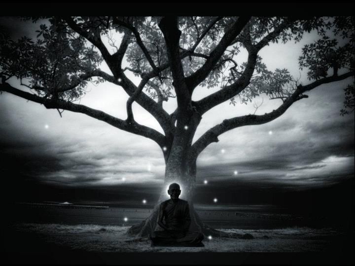 Image Result For Painting Of Buddha Under The Bodhi Tree Image Result For Painting Of Buddha Under The Bodhi Tree