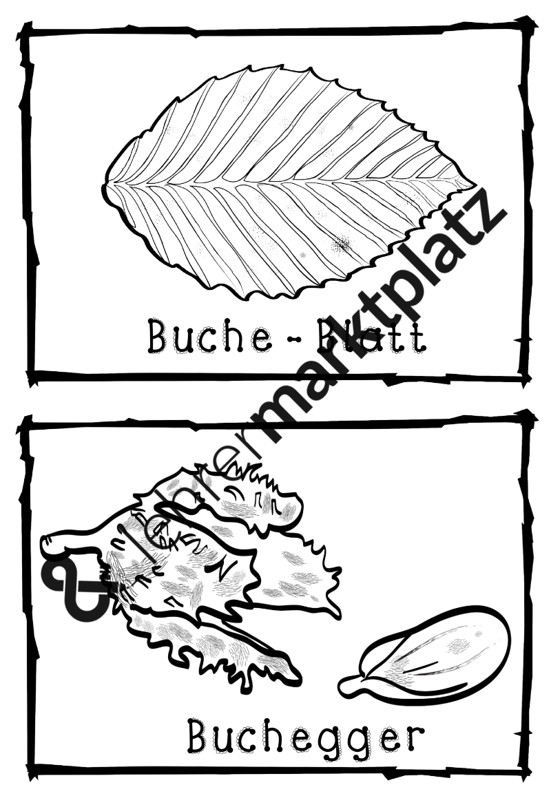 Kennenlernen klasse 1