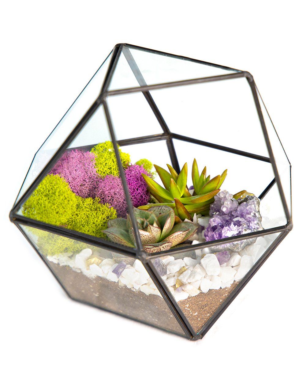 7”x6” Geo Glass Succulent Terrarium with Metal Stand, Moss, Rocks, Amethyst *DIY Live Plant Terrarium Kit* - Gold/Mint / Quartz Geode