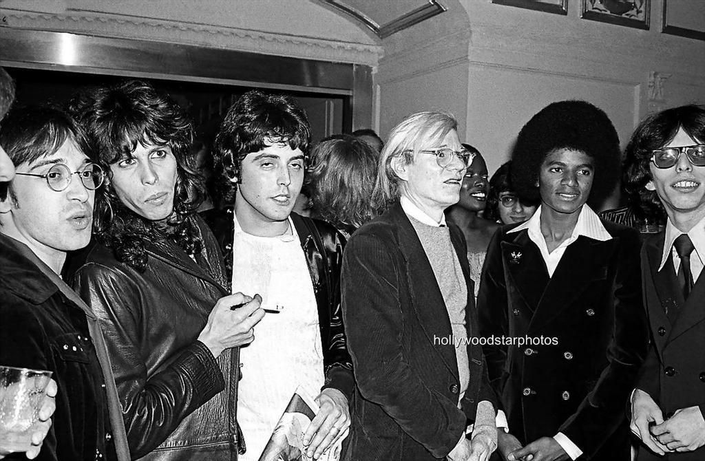 Image result for andy warhol steven tyler