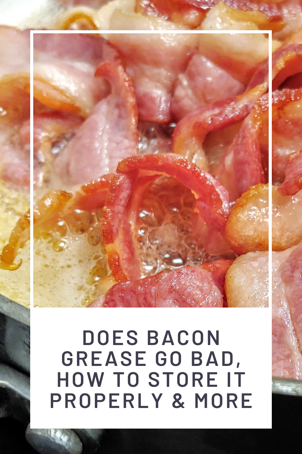 Recipes Using Bacon Grease Bacon Grease Uses Meat Recipes Cooking recipes-using-bacon-grease-bacon-grease-uses-meat-recipes-cooking
