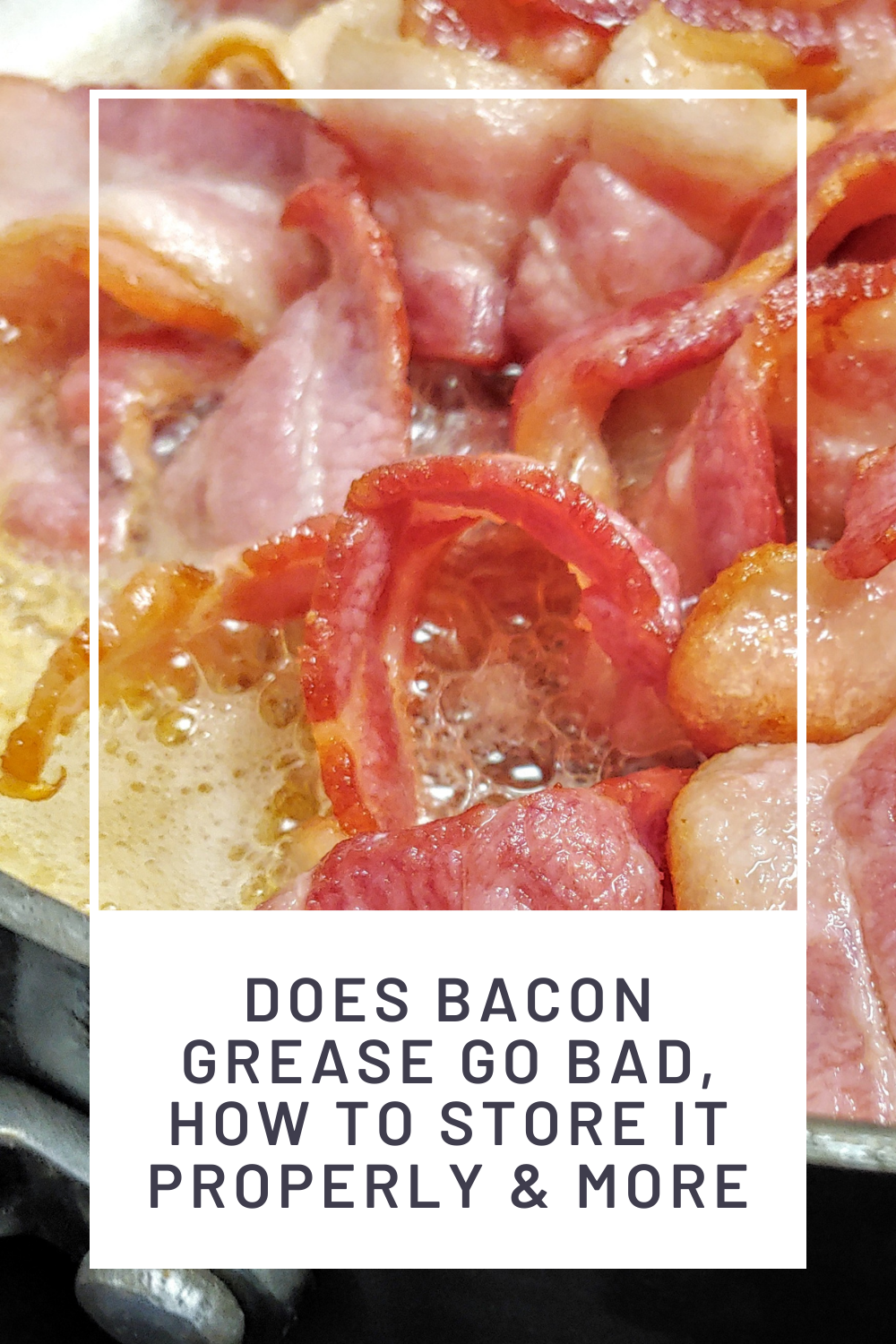 Saving, Storing, and Reusing Bacon Grease in 2023