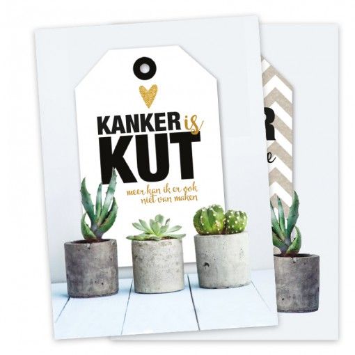 kut