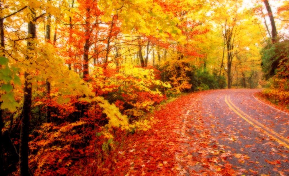 autumn wallpaper hd hd wallpapers pinterest
