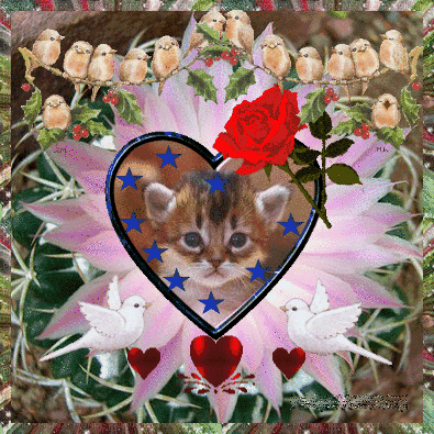Przybywam z pozdrowieniami Beautiful Love Images, Hearts And Roses, Novelty Christmas, Christmas Ornaments, Holiday Decor, Gift Ideas, Facebook, Encourage Quotes, Gatos