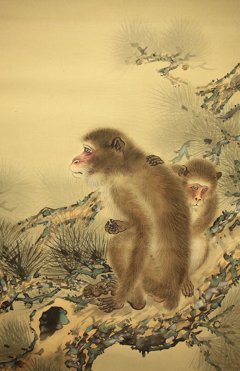Pine Tree And Monkey 2 日本画 画 動物 Pine Tree And Monkey 2 日本画 画 動物