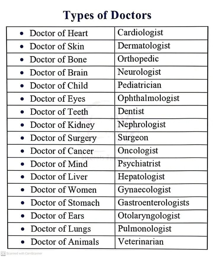 DailyMore Media LLC On Instagram Types Of Doctors Very Useful For dailymore-media-llc-on-instagram-types-of-doctors-very-useful-for