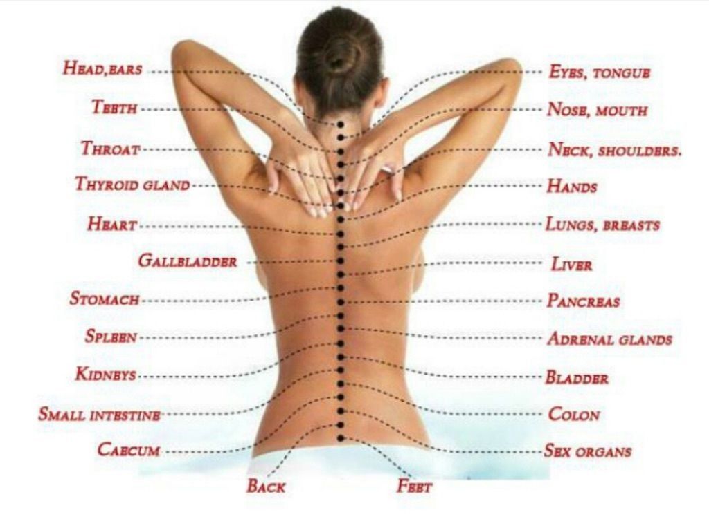 Pin on Health Schmealth
