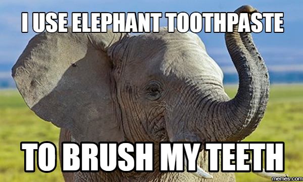 I Use Elephant Toothpaste To Brush My Teeth Funny Meme Pictures