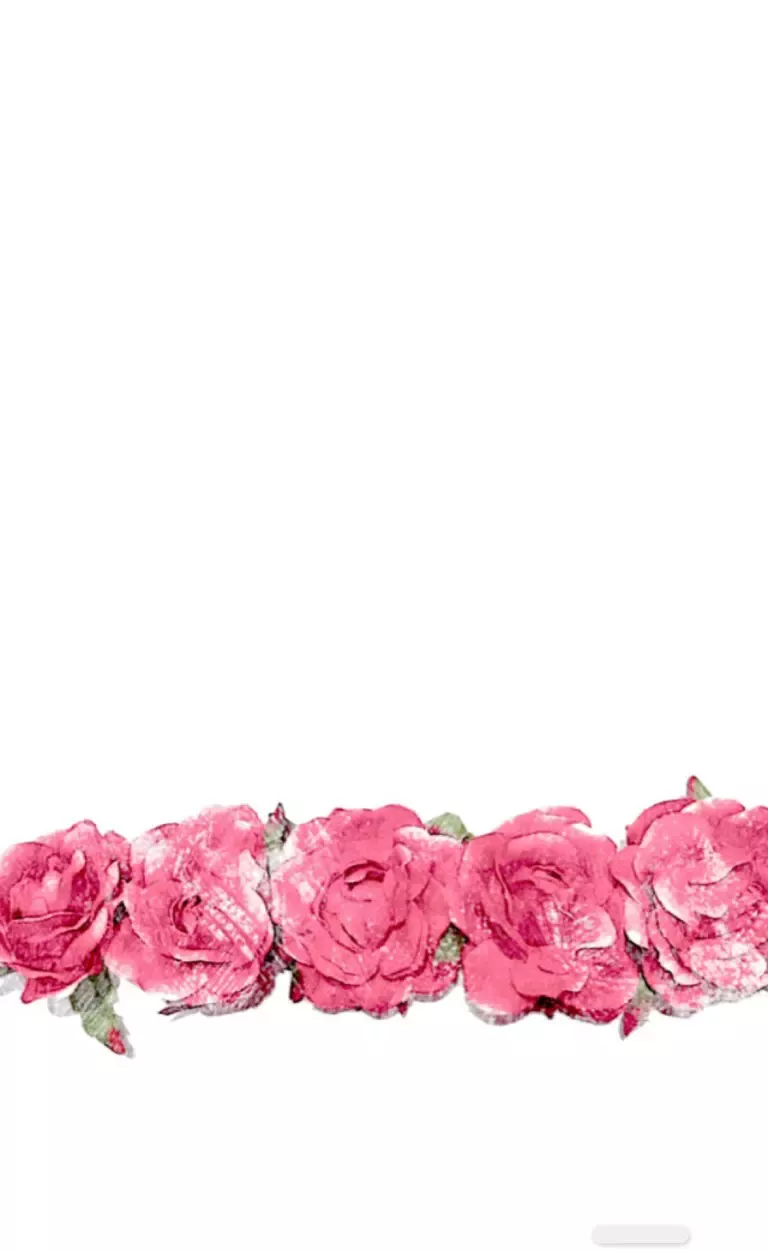 Handsome Pink Wallpaper Backgrounds Beautiful Handsome Pink Wallpaper Backgrounds Beautiful