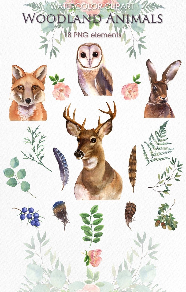 Watercolor autumn wreath clipart. Moth clip art fall clipart Woodland clipart Watercolor autumn wreath clipart. Moth clip art fall clipart Woodland clipart