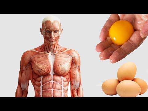 Do Raw Eggs Boost Testosterone Do Raw Eggs Boost Testosterone