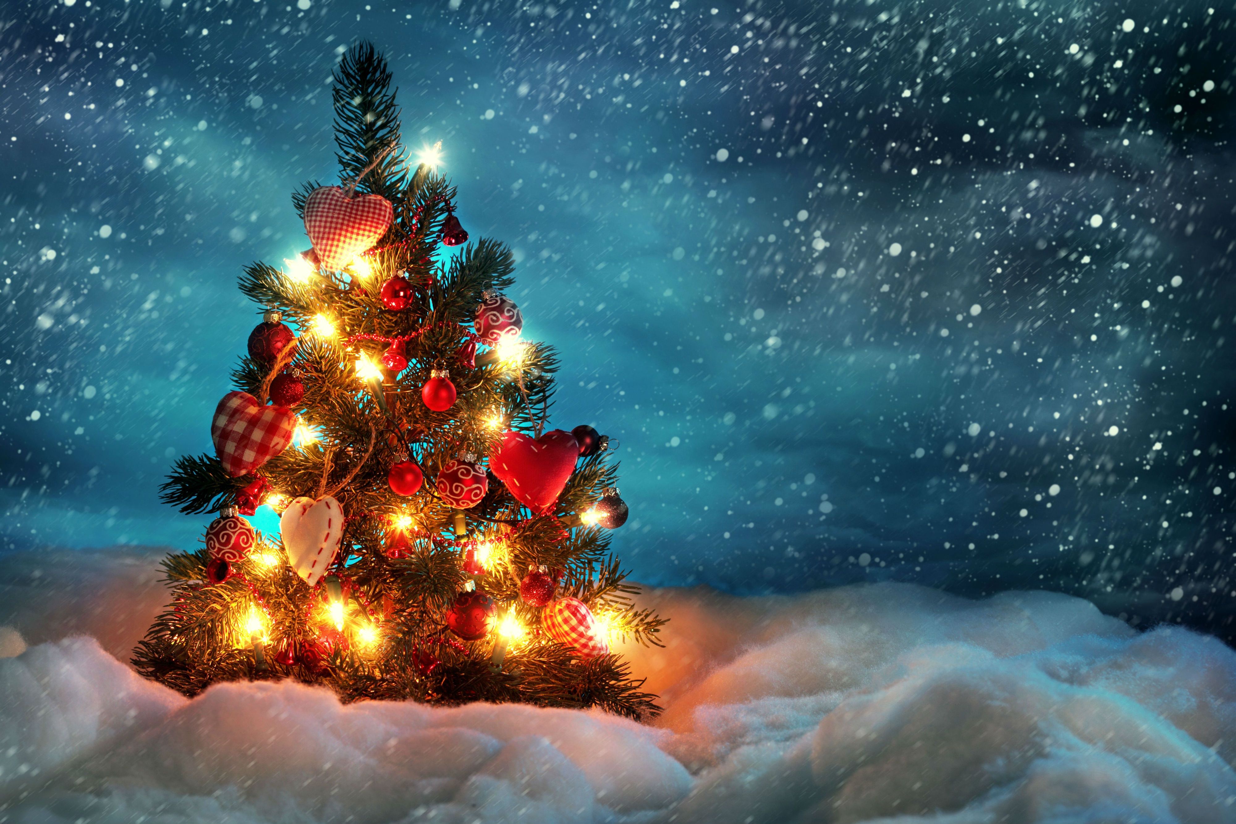 Merry Christmas Fond Ecran Noel Joyeux Noel Fond D Arbre Merry Christmas Fond Ecran Noel Joyeux Noel Fond D Arbre