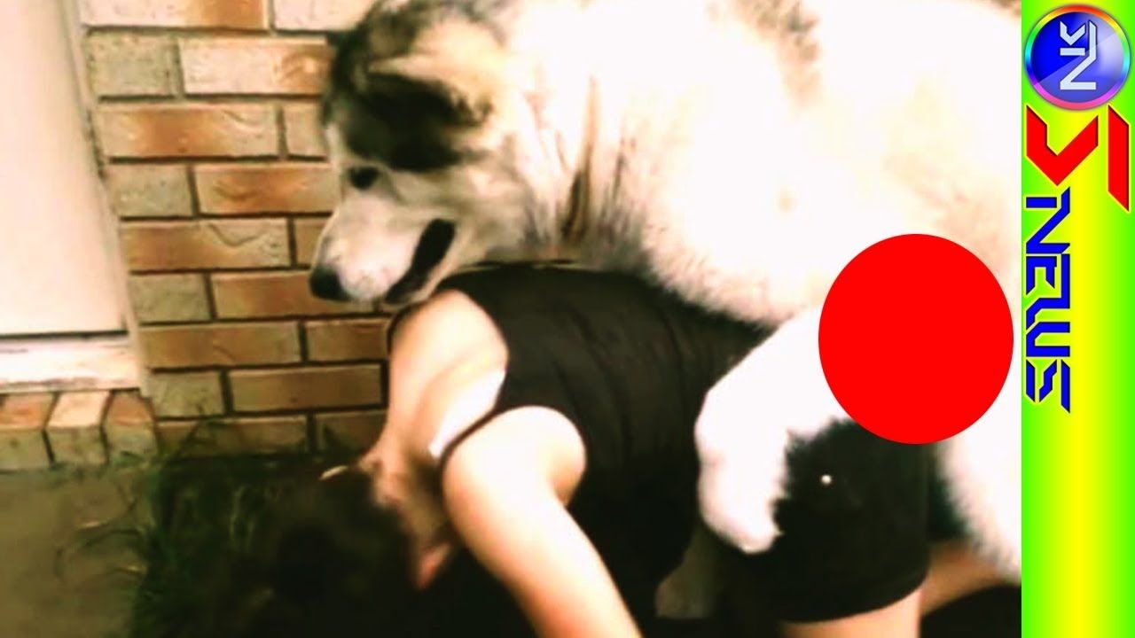 Animals Enjoy Flirting With Sexy Girls Very Funny Video Animals Enjoy Flirting With Sexy Girls Very Funny Video