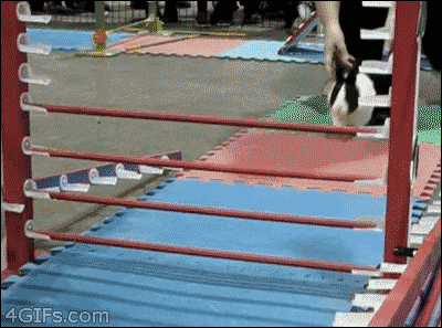 ff92f780f9bdb4dff0675f9109320bbc.gif