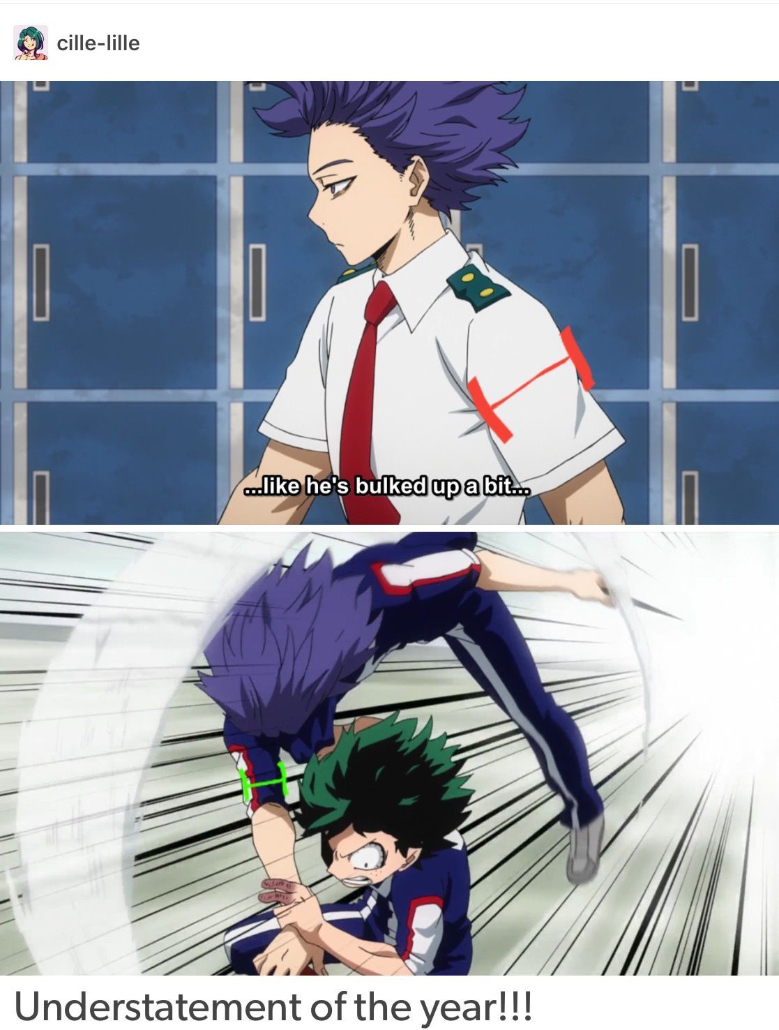 What Does Deku Mean In English What Does What Does Deku Mean In English What Does