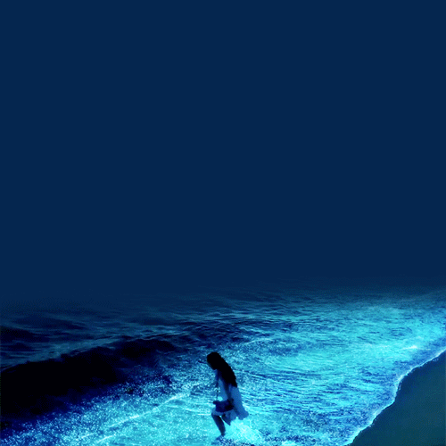 Gif Animé Plaisir Pion Nature Pinterest Sea Inspiration Gif Plaisir Pion