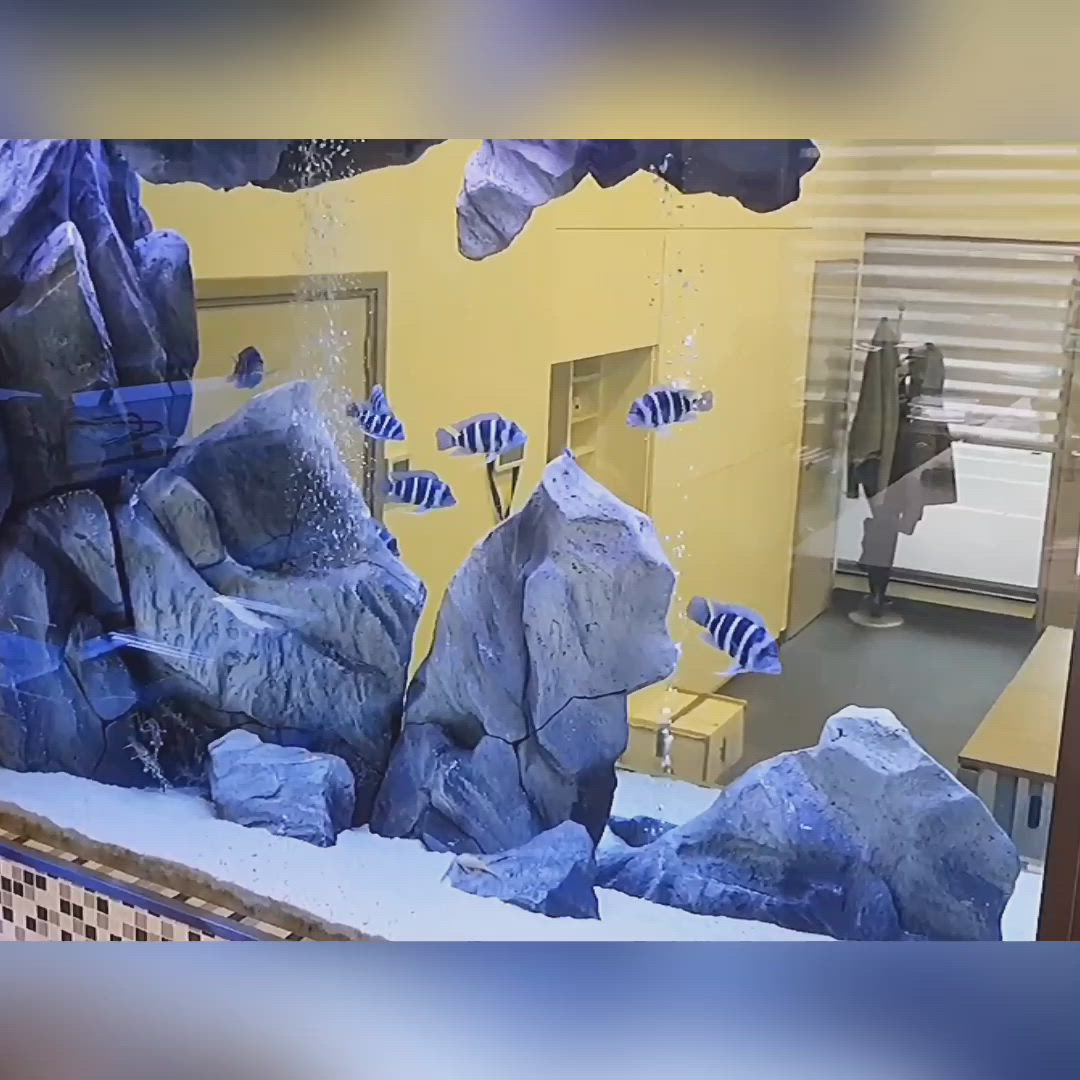 450 Aquaponics System Ideen Aquarium Aquarien Aquarium Fische 450-aquaponics-system-ideen-aquarium-aquarien-aquarium-fische