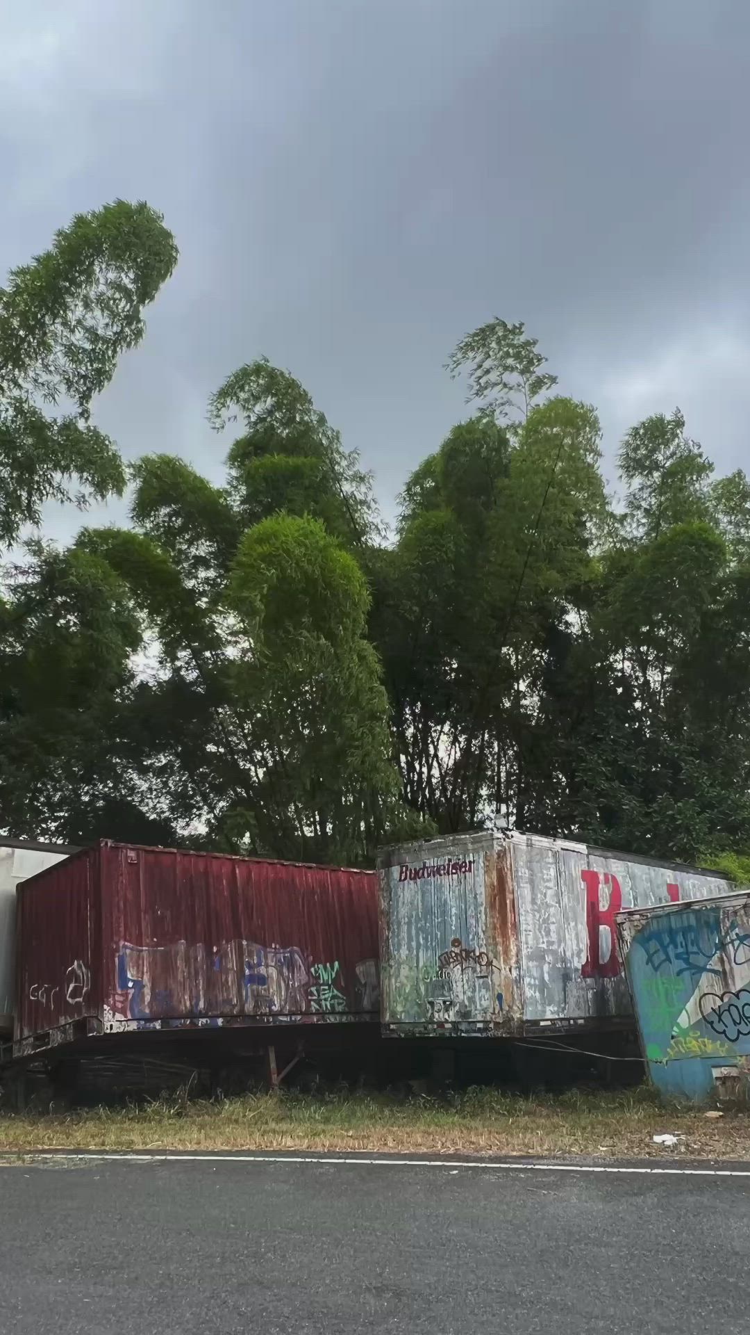 Abandoned City in Puerto Rico | Abandoned cities, Rainforest