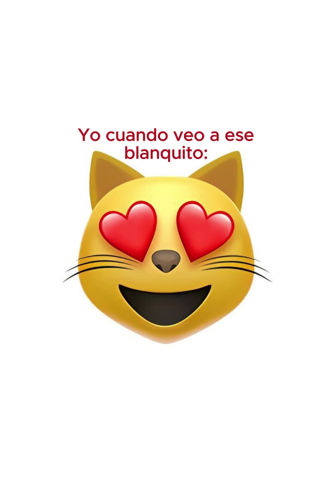 Pin Af K Elizabeth Zaldivar P Guardado R pido Video pin-af-k-elizabeth-zaldivar-p-guardado-r-pido-video